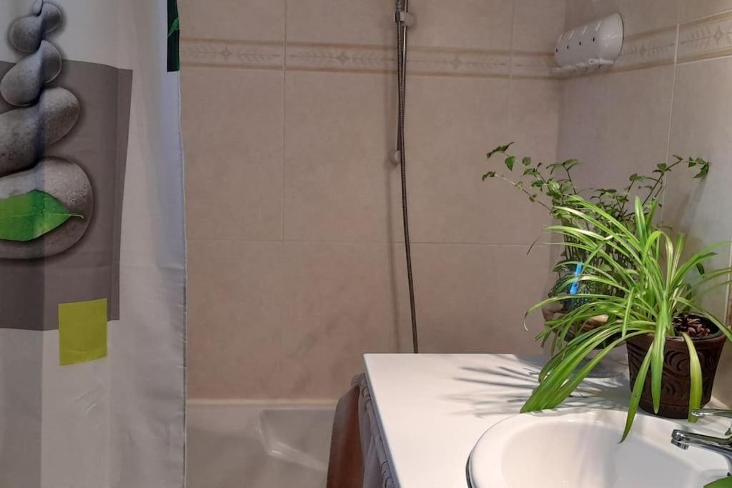 Le Chausse A Bres Chambre D'Hotes 2 Payzac  Exteriör bild